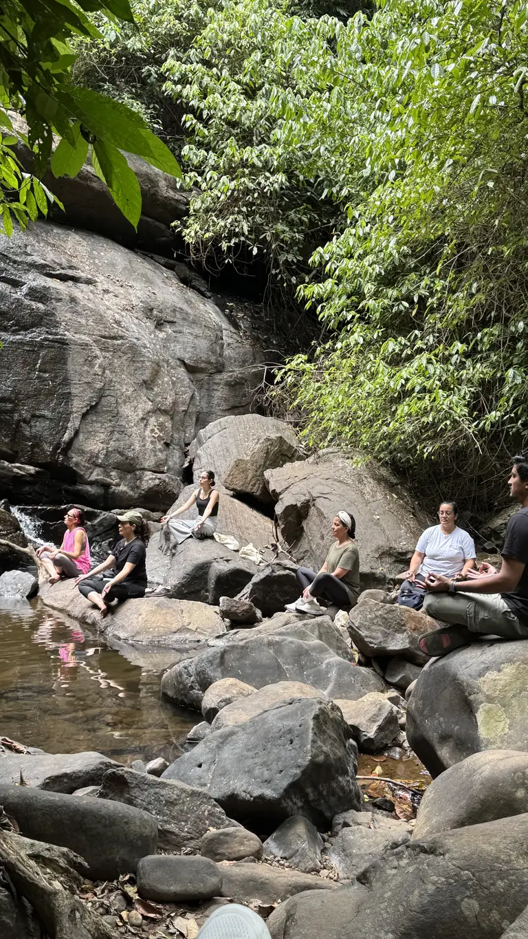 Grupo de Inspira Yoga meditando junto al agua y la vegetación en India del Sur
